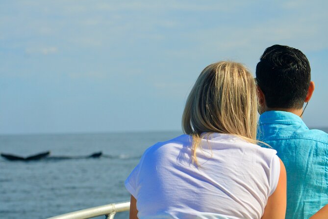 Whale Watching Warranty in San José del Cabo Snacks and drinks - Who will enjoy this whale watching trip most
