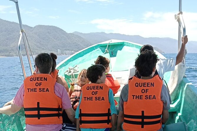 Whale watching with Snorkeling and beach Colomitos - Timing, weather, and the practical details