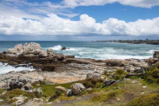 Whale Wonders: Majestic Marine Adventures in Hermanus - The boat trip puts wildlife closer