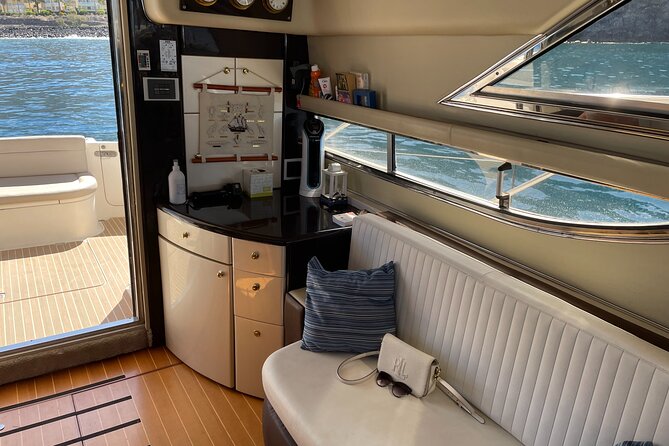 Whales and Dolphins excursion on a Luxury Yacht in Canary Islands - Searching for pilot whales and dolphins