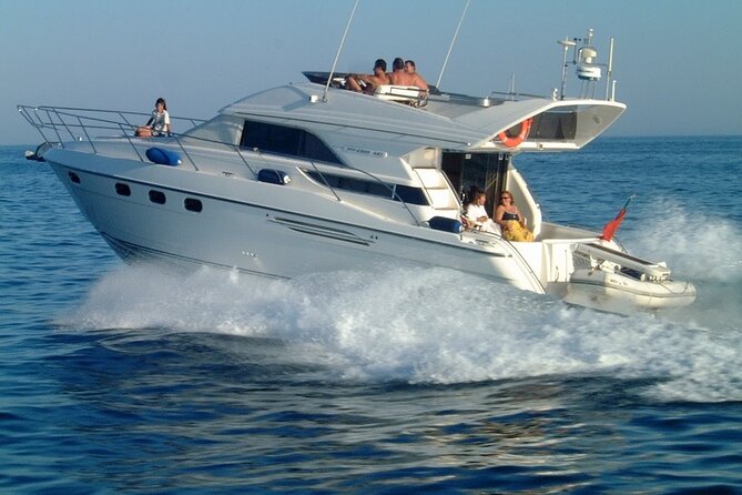 Whales and Dolphins excursion on a Luxury Yacht in Canary Islands - What the $104.01 price buys you