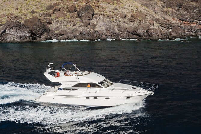 Whales and Dolphins excursion on a Luxury Yacht in Canary Islands - Coastal cruising with Teide in view