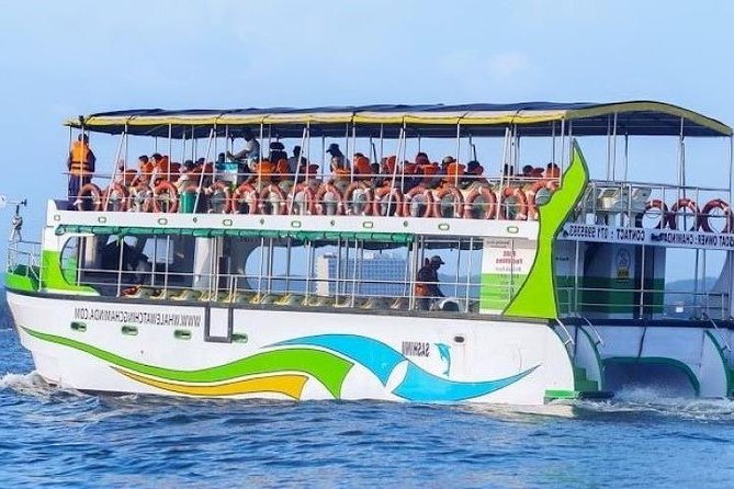 Whales and Dolphins Watching-Luxury Super Grade Cruiser(Hotel Pick up offered) - Key points before you book