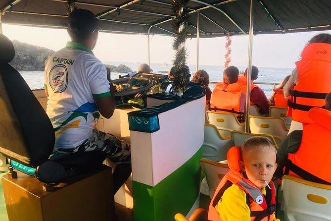 Whales and Dolphins Watching-Luxury Super Grade Cruiser(Hotel Pick up offered) - Safety, comfort, and the responsible-watching question