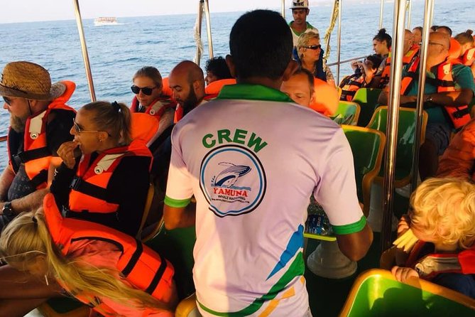 Whales and Dolphins Watching-Luxury Super Grade Cruiser(Hotel Pick up offered) - Who will enjoy this cruise most