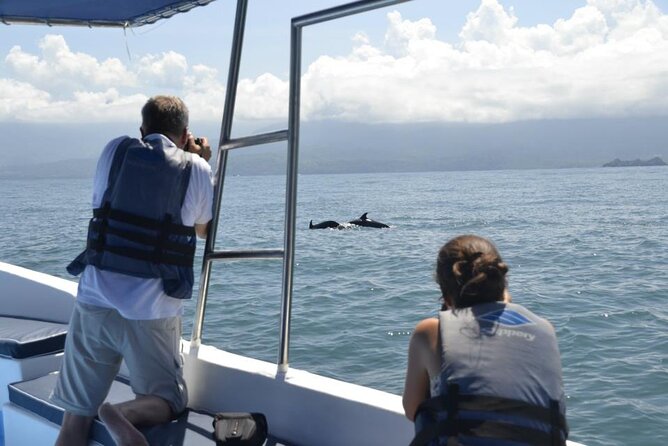 Whales and Dolphins watching Tour From Uvita - Whale watching in Marino Ballena National Park