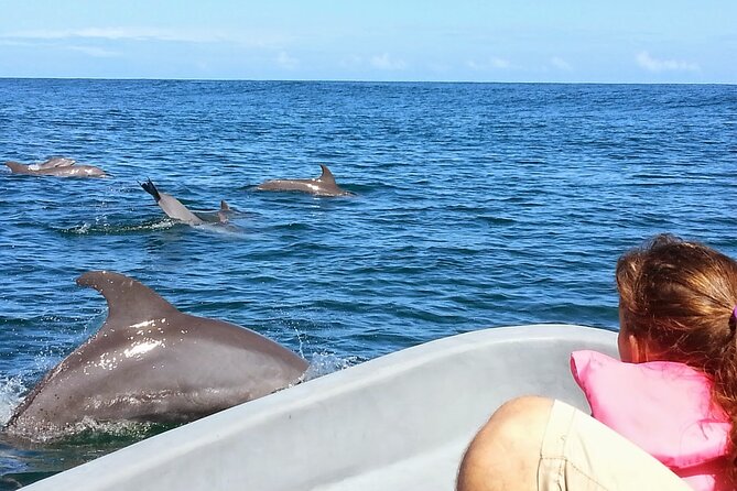 Whales and Dolphins watching Tour From Uvita - Caves, swimming, and the snorkeling question