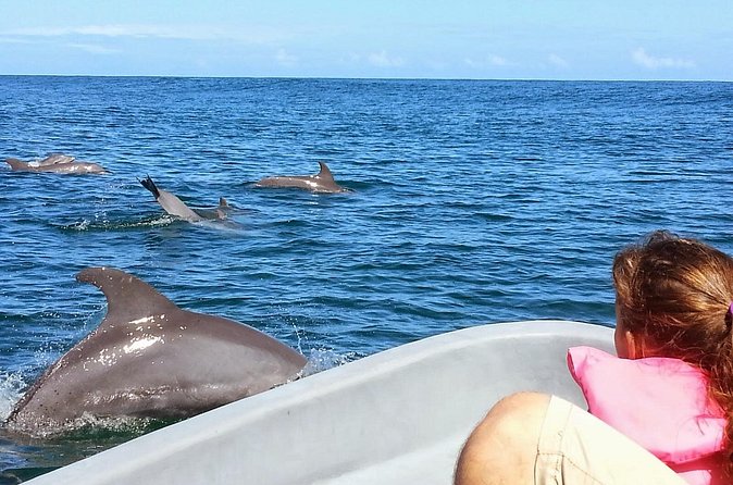 Whales and Dolphins watching Tour From Uvita - Is $89 a fair price?