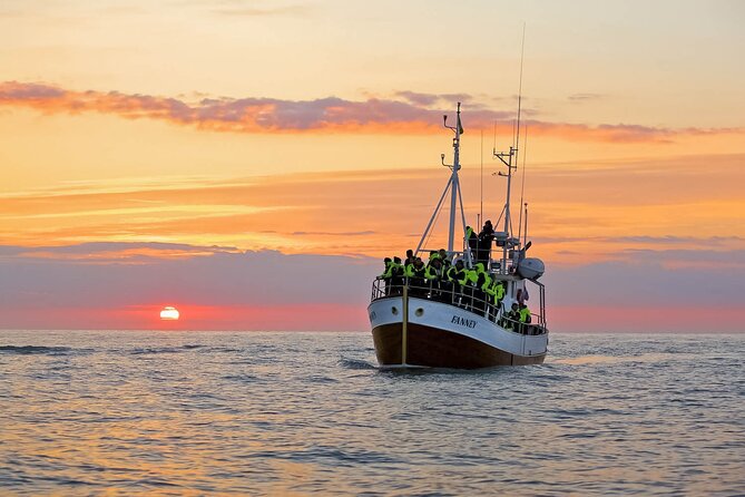 Whales and Puffins Tour from Husavik - Why this Húsavík cruise is worth considering