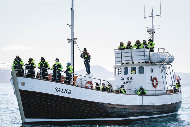 Whales and Puffins Tour from Husavik - Weather, cancellations, and possible changes
