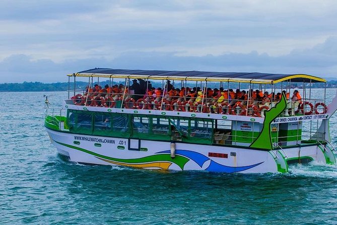 Whales & Dolphin Watching Day Tour including Handunugoda Teafactory - A brief look at Sri Lanka’s stilt fishermen