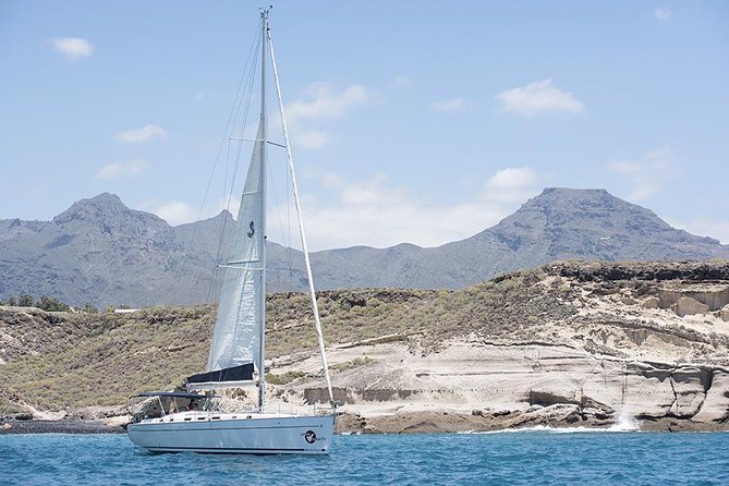 Whales & Dolphins watching in exclusive sailboat - What the $71.35 price really covers