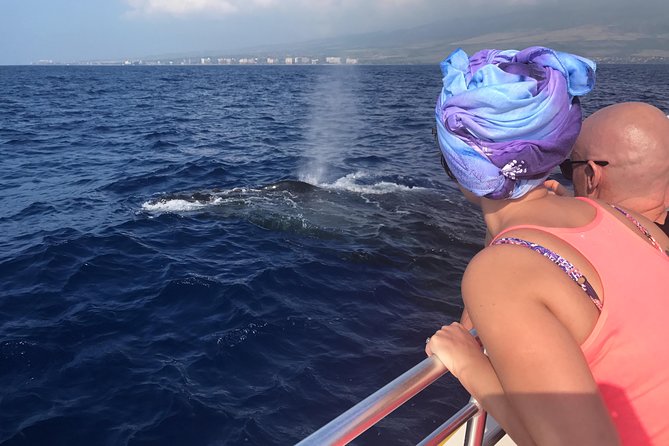 WHALES GUARANTEED Maui Whale Watching Makai Adventures - Key points at a glance