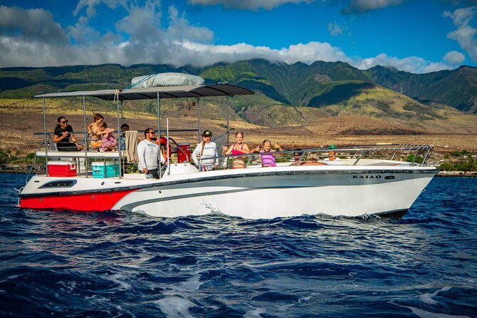 WHALES GUARANTEED Maui Whale Watching Makai Adventures - Is $97.41 a fair price?