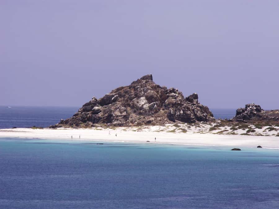 Whales & Humboldt Penguins: Chañaral or Damas island hiking - From La Serena to the Green North