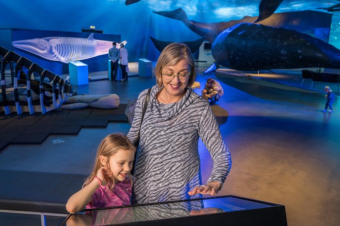 Whales Of Iceland Admission Ticket - Live English tours at 11:00 and 15:00