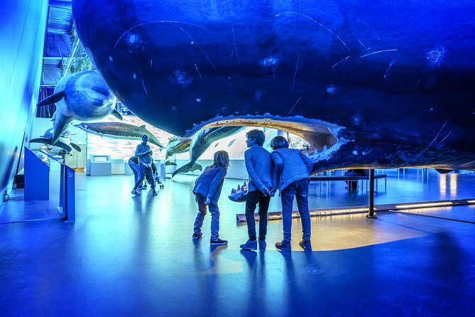 Whales Of Iceland Admission Ticket - The models make size the main attraction