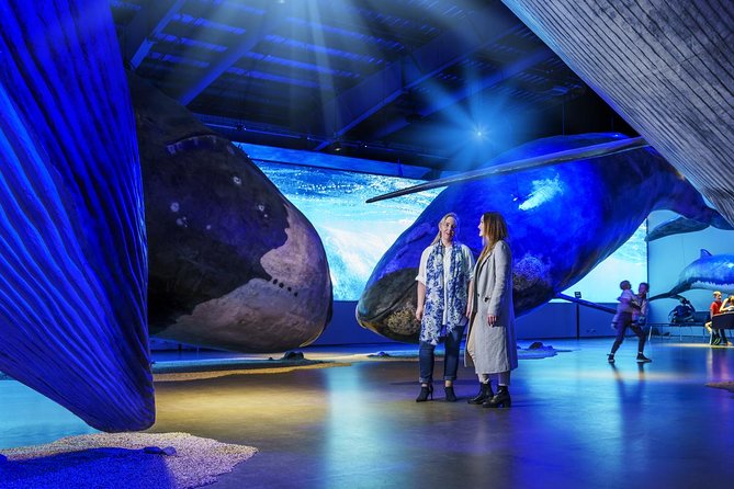 Whales of Iceland from Land and Sea - Who will enjoy this most