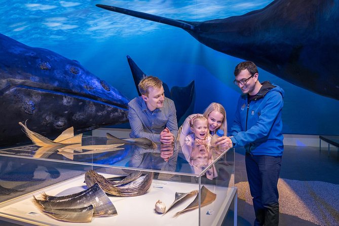 Whales of Iceland from Land and Sea - Watching Faxaflói Bay for whales