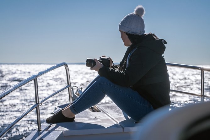 Whales of Sydney Sea Safari - Why a private boat changes the experience