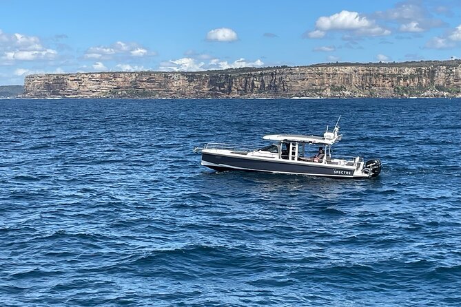 Whales of Sydney Sea Safari - What the captain and crew add