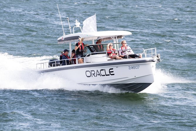 Whales of Sydney Sea Safari - Timing, comfort, and what to bring