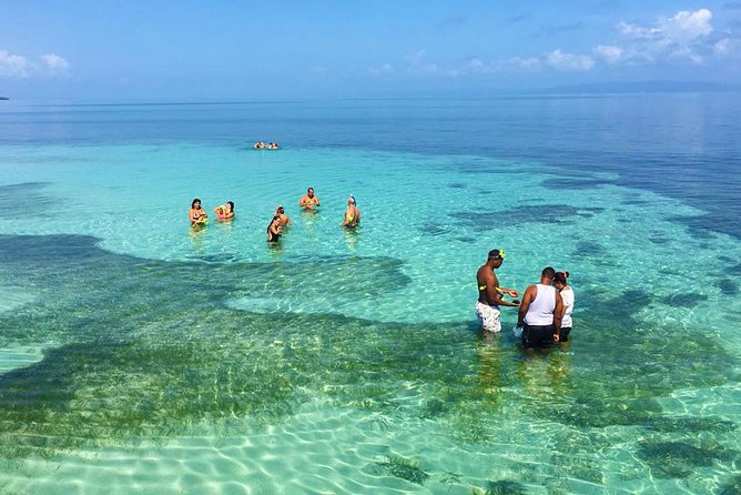 Whales Watching Half Day Experience - Why Samaná Bay makes this trip worthwhile