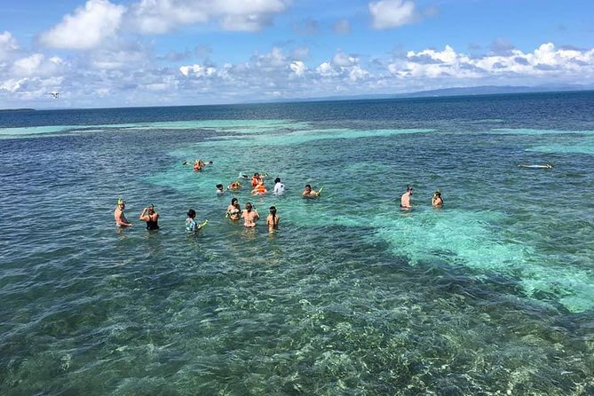 Whales Watching Half Day Experience - The boat ride to Samaná Bay