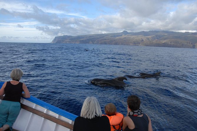 Whalewatching La Gomera - Leaving Vueltas on a traditional fishing boat