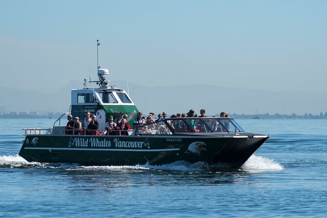 Wild Whale Watching Experience - Open Air Vessel - The role of the marine naturalist