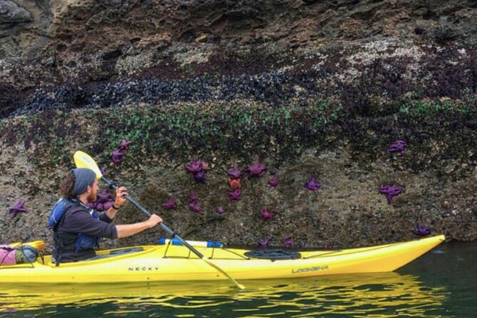 Wildlife Spotting Kayak Adventure on Orcas Island - Reaching a Park Without a Road