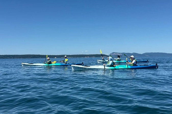 Wildlife Spotting Kayak Adventure on Orcas Island - A Beach Break With Mt. Baker Views