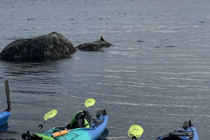 Wildlife Spotting Kayak Adventure on Orcas Island - Guides Who Shape the Morning