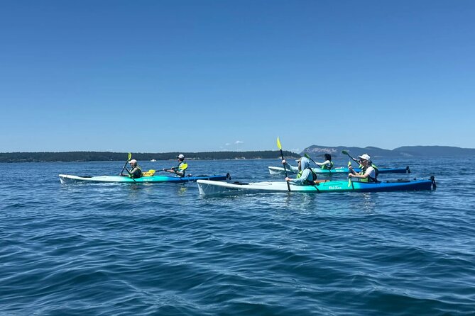 Wildlife Spotting Kayak Adventure on Orcas Island - What the Three-Hour Schedule Means