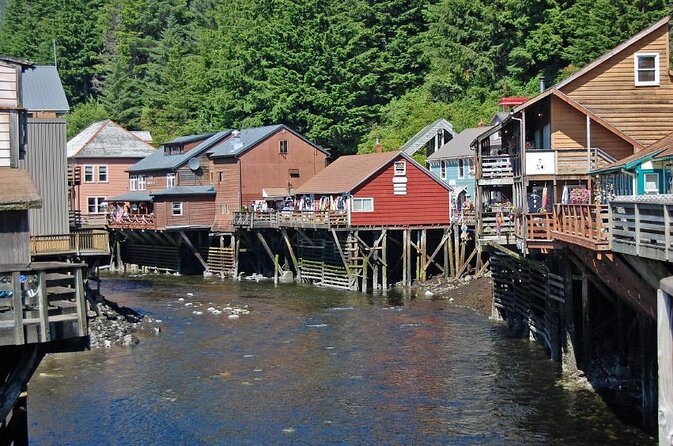 Wildlife Viewing, Sightseeing and Whale Watching Quest - Key things to know before you book
