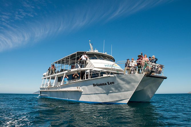Wilsons Prom Whale Cruise - The 10:30 am departure from Port Welshpool