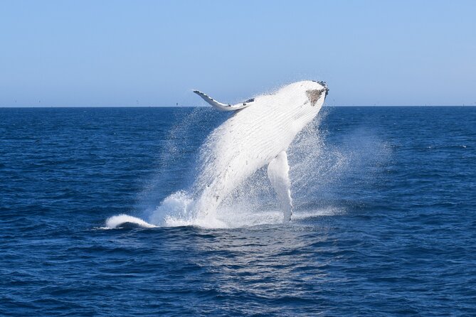 Wilsons Prom Whale Cruise - The Wilsons Promontory coastline from the catamaran