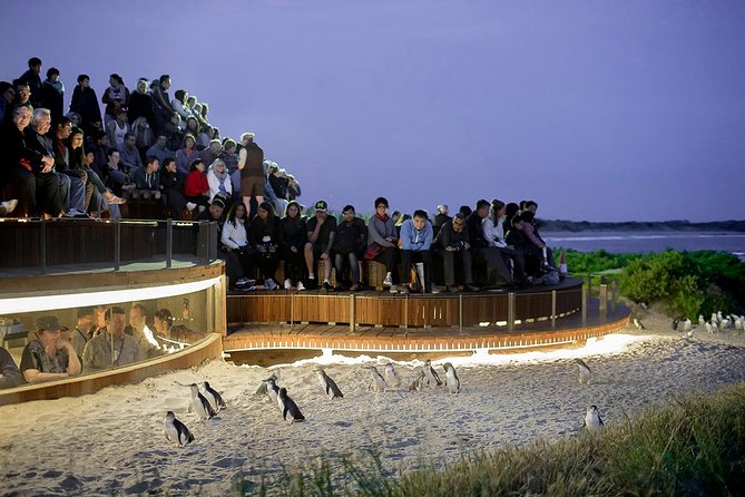 Wilsons Prom Whale Cruise - What the food and seating mean at sea