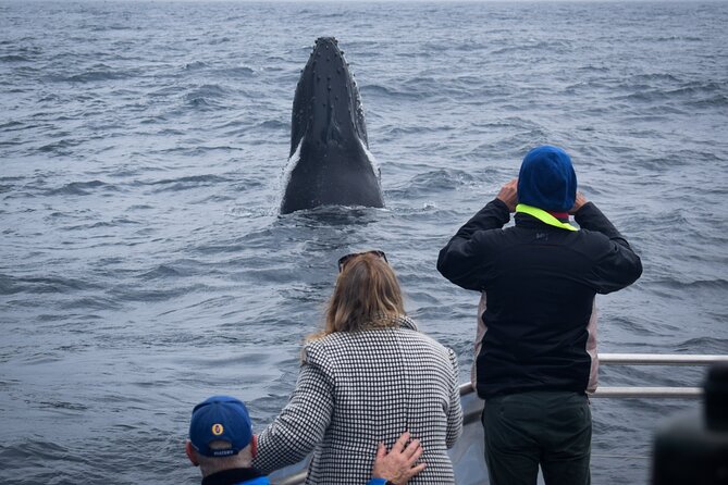 Wilsons Prom Whale Cruise - Handling open water and motion sickness