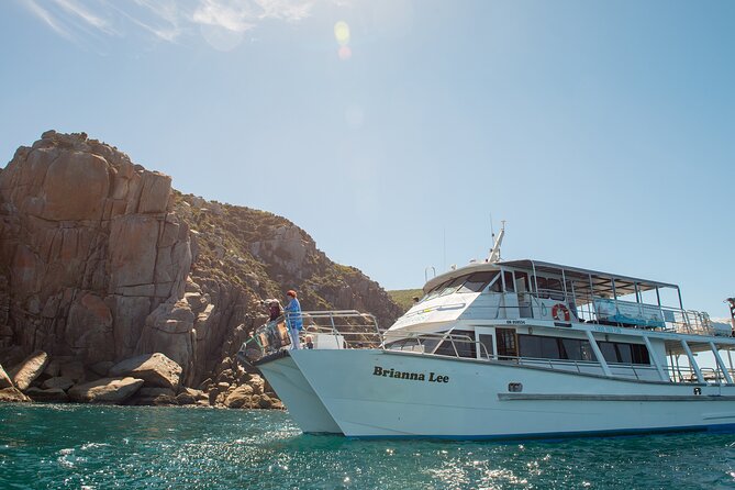 Wilsons Prom Whale Cruise - Searching for humpback whales with a guide