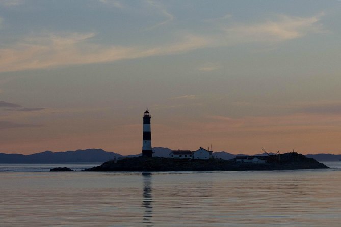 Winter Victoria Whale and Wildlife Zodiac Tour - Who Should Book This Zodiac Tour