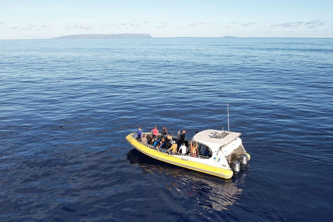 Winter Whale Watching Adventure in Kauai - The ride from Eleele to open water