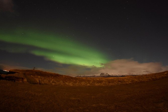 Winter Whale Watching and Northern Lights Cruise from Reykjavik - Two Reykjavik cruises built around wildlife and sky