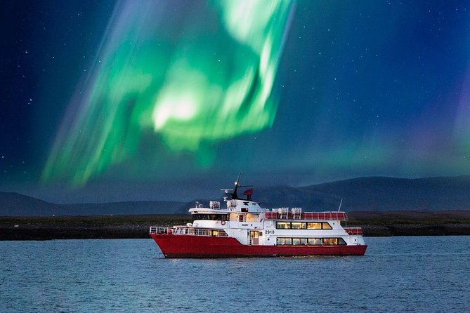 Winter Whale Watching and Northern Lights Cruise from Reykjavik - Starting at Ægisgarður 5c in the Old Harbour