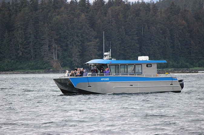 Wonderful Whales and Wildlife Tour - Is $285 a fair price?