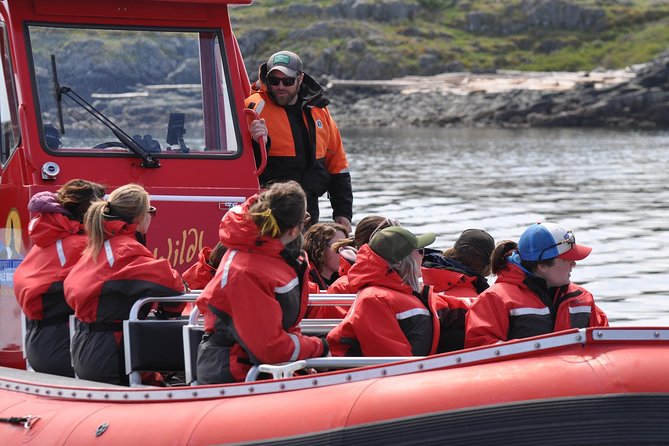 Zodiac Boat Whale and Wildlife 6-Hour Tour from Campbell River - Captain Becca, also known as Bex
