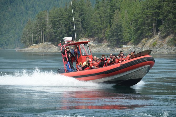 Zodiac Boat Whale and Wildlife 7-8-Hour Tour from Campbell River - Wildlife possibilities, from orcas to bears