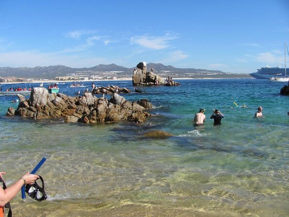 ZODIAC Whale Watch Tour | Cabo San Lucas | Biologist | FREE Pics - Key points to know before booking